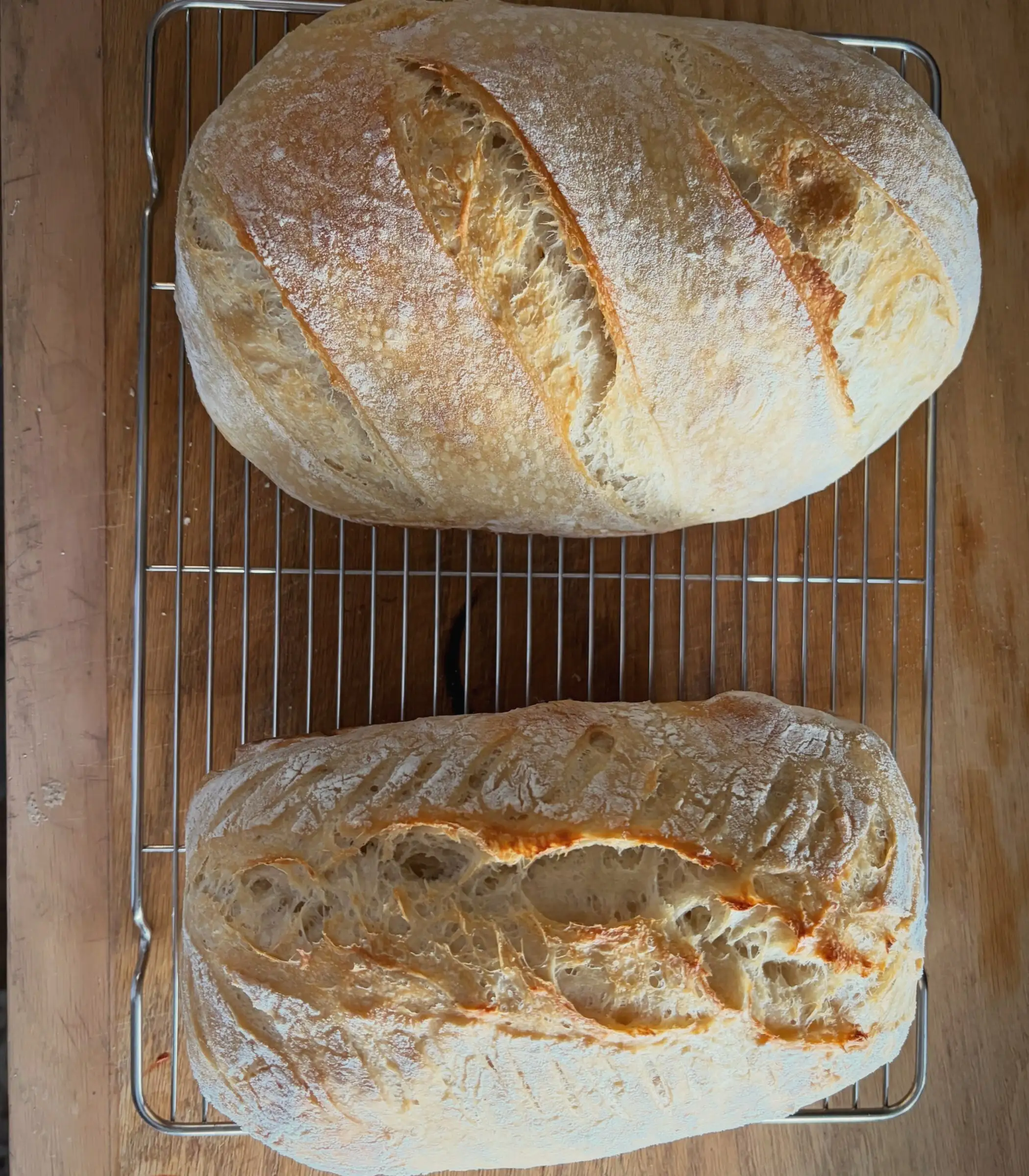 Two floured sourdough loaves cooling on a rack