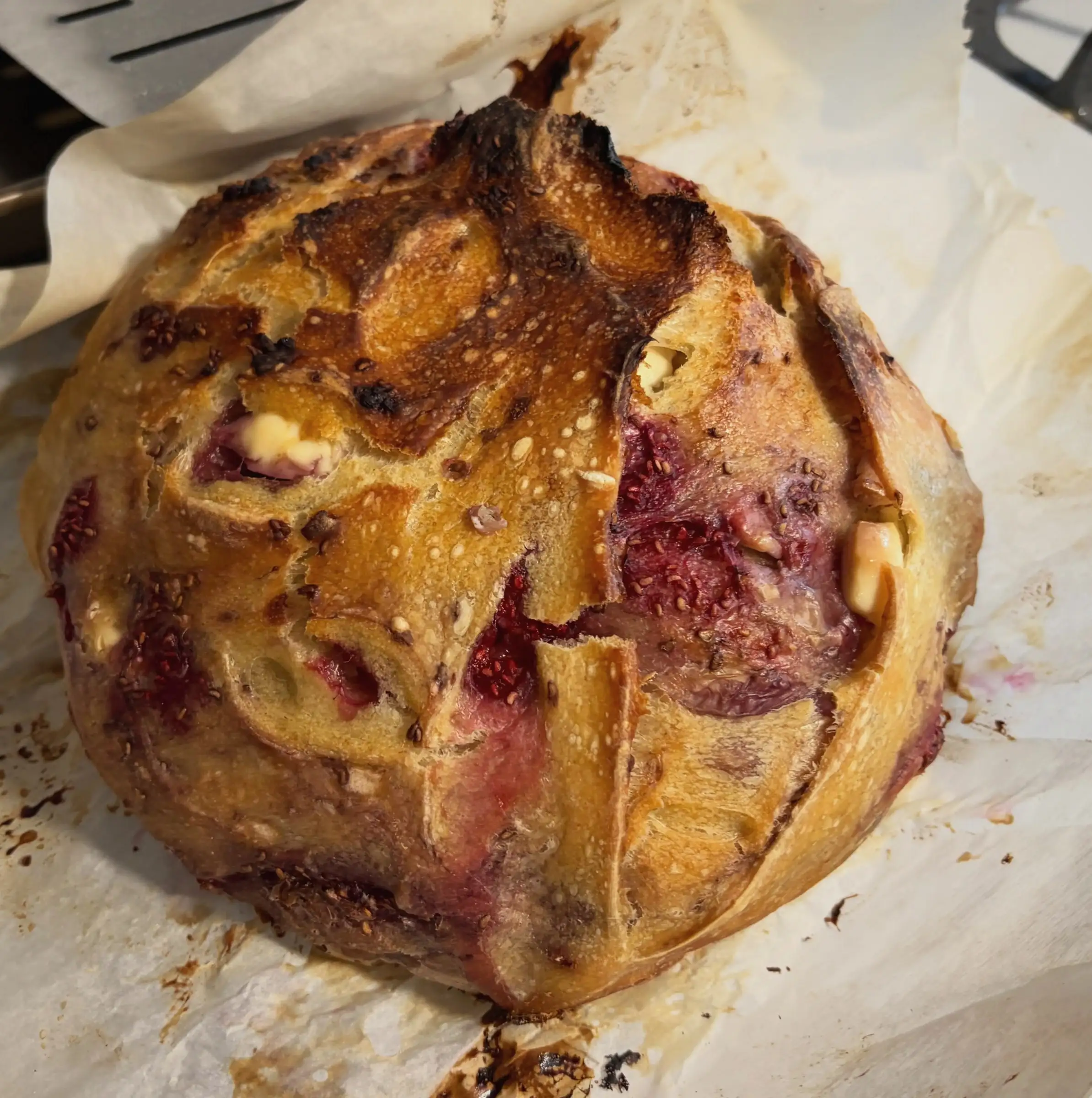 A rustic berry and cream cheese sourdough boule