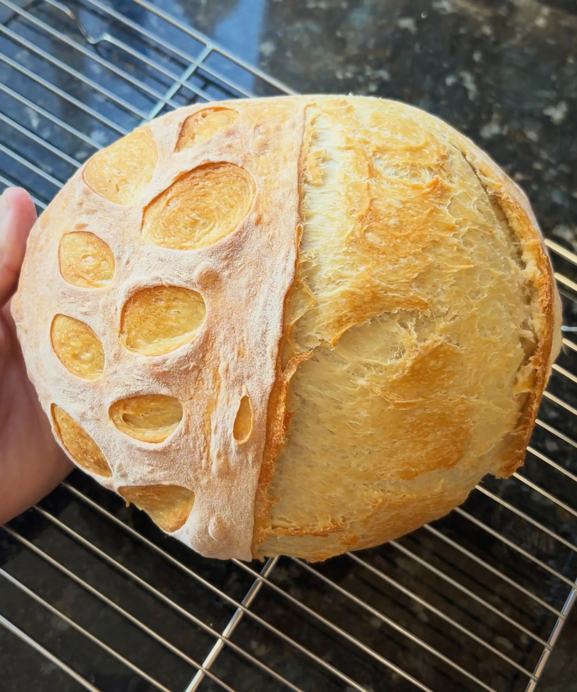 A golden sourdough boule with a leaf pattern stenciled in flour